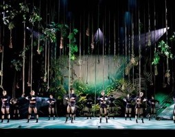 A Ballet for Everyone