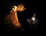 Flamenco Whenever, Wherever