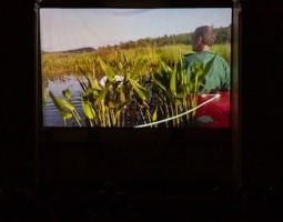 On the right, a man sits in a red kayak with his back to the camera. He wears a green shirt. A white rope is tied to the back of his kayak and reaches out of the frame. He is on a lake heavily grown in with green plants. The water is blue and still. There is a mountain in the distance.