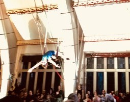 A female circus artist with a brown ponytail leans back over a trapeze and stretches her arms. She wears a shiny blue leotard and flies high above a full audience.