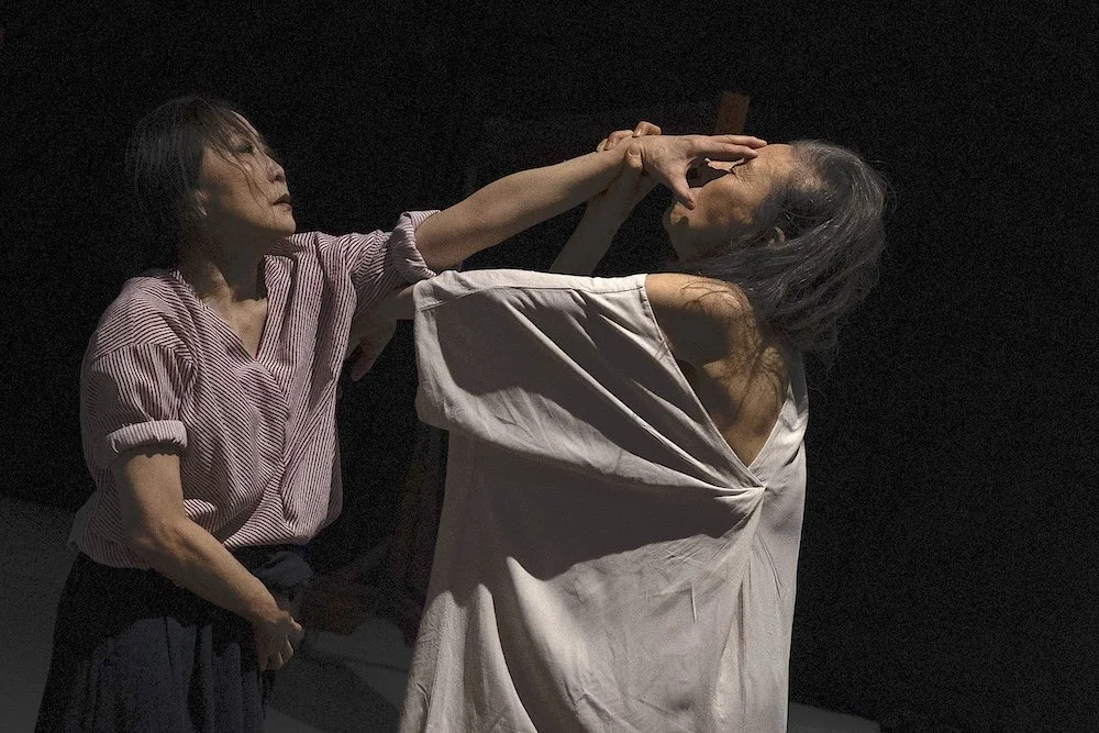 Wen Hui, a Chinese woman dressed in a red striped shirt and black pants, looks down past her nose at Japanese counterpart, Eiko Otake, while reaching a claw-shaped hand out to Otake’s face. Otake wears a baggy white dress that hides her form. One of her hands meets Wen Hui’s upper arm, while the other pulls Wen Hui’s hand to her face.