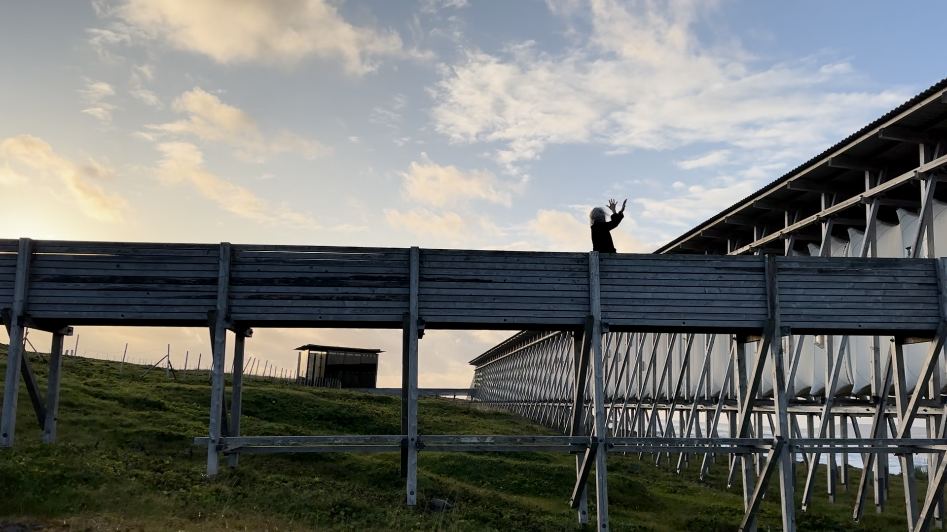Shape and Momentum author Liz Lerman conjures a gestural dance while standing on a raised boardwalk with chest high wood siding at the Steilneset Witch Memorial in Vardø, Norway. Her arms come together at the elbows and her palms fan wide. Fifteen feet below her, the boardwalk’s supports stand on lush green grass. The sun is setting and a soft yellow glow oozes mildly from left to right into the dimming daylight blue.