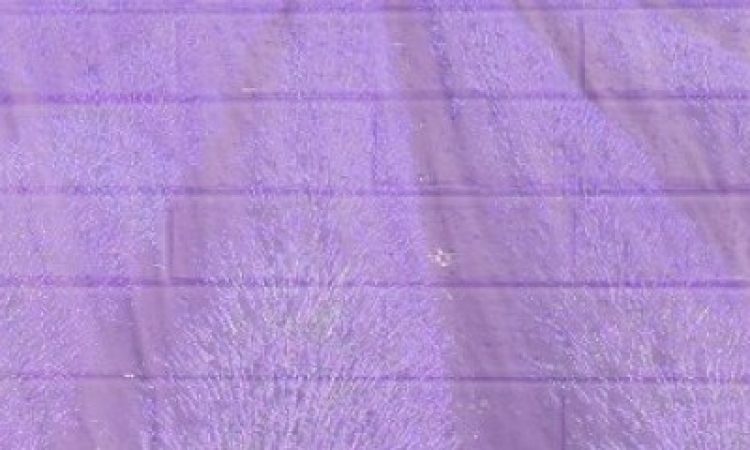 Image courtesy of the artist.