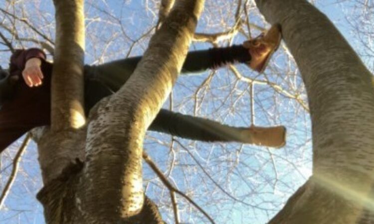 02012021_NB_NicoleBindler_Reemergence
