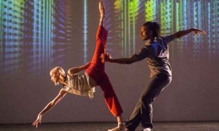 Photo: Joseph V Labolito