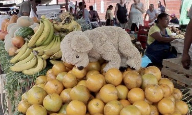 Photo: Rebbeca Lloyd-Jones