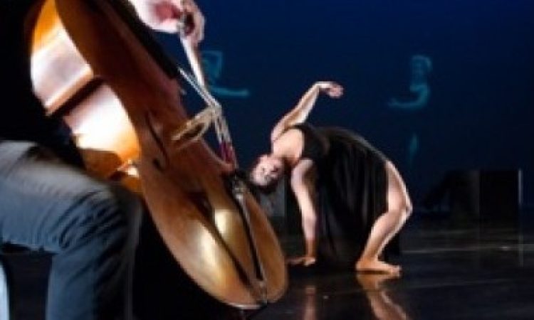 Photo: Zachary Handler