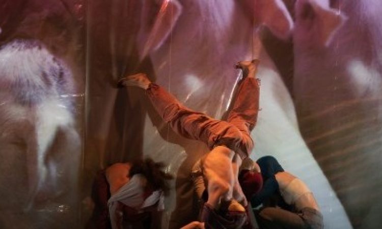 Photo: Ashleigh Strucks