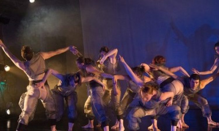 Photo: Johanna Austin