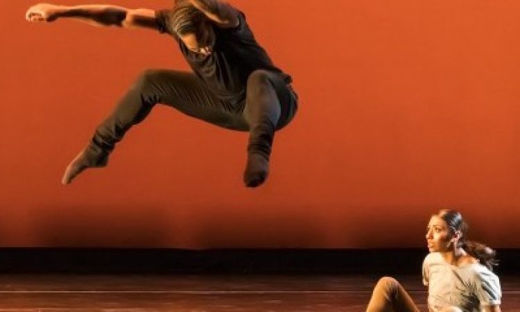 Photo: Julieanne Harris