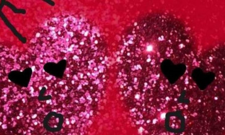 Photo: Christina Gesualdi