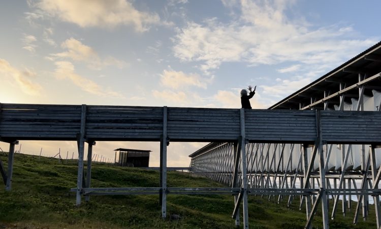 Shape and Momentum author Liz Lerman conjures a gestural dance while standing on a raised boardwalk with chest high wood siding at the Steilneset Witch Memorial in Vardø, Norway. Her arms come together at the elbows and her palms fan wide. Fifteen feet below her, the boardwalk’s supports stand on lush green grass. The sun is setting and a soft yellow glow oozes mildly from left to right into the dimming daylight blue.
