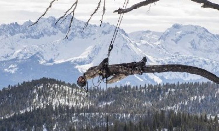 Photo: Hugo Glendinning