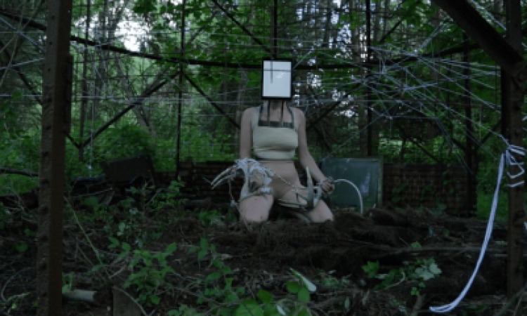 Photo: Aysha Hamouda