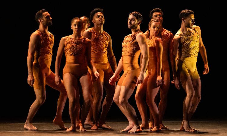 Eight dancers, three women and five men, stand in a group with their knees slightly bent, facing different directions. They wear tight shiny orange-gold tops and shorts. Some look over their shoulders, and some look straight ahead.