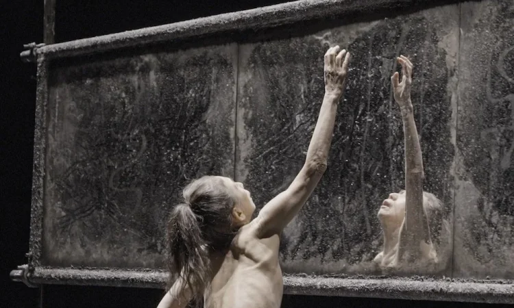 A frail, topless Japanese woman with a taut, grey-brown ponytail, Eiko Otake, has her back to the camera. In front of her is a horizontal, dusted mirror. In the mirror is a reflection of a thoughtful open mouth and her arm, which reaches to the top of the ornate frame.