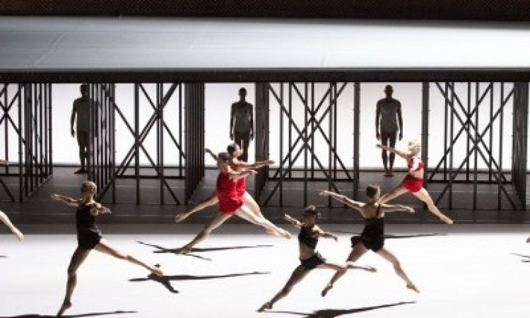 Photo: Craig T. Matthew