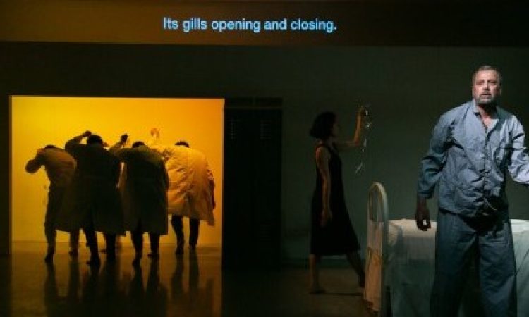 Photo: Whitney Browne, Courtesy of Gibney