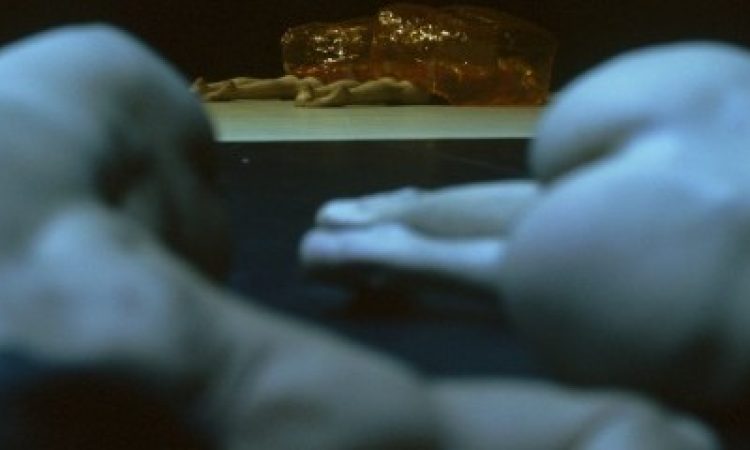 Photo: Maria Anguera de Sojo