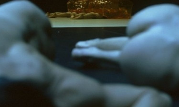 Photo: Maria Anguera de Sojo