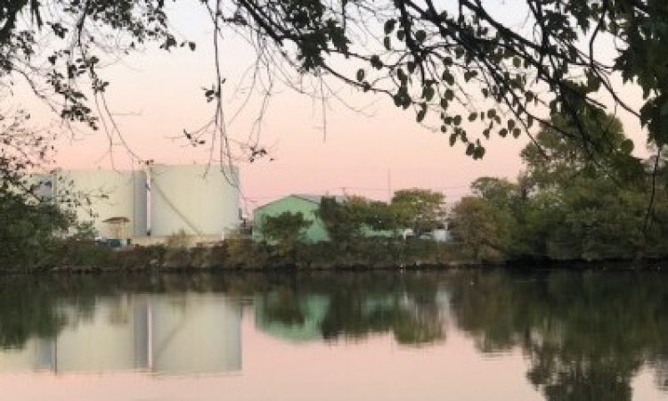 Photo: Jillian Jetton