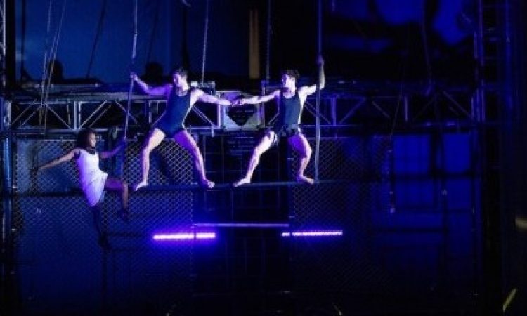 Photo: Steve Belkowitz