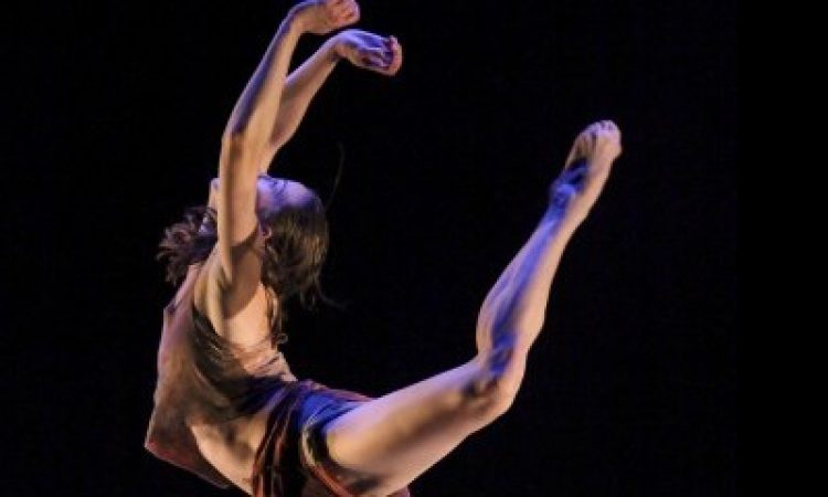 Photo: Pete Checchia