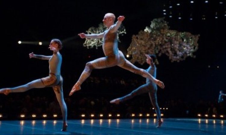 photo: Stephanie Berger, courtesy Park Avenue Armory