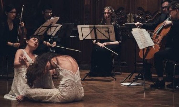 NCB_StrayBird_AFalchier_01713