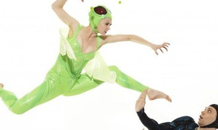 Photo: Tom Caravaglia