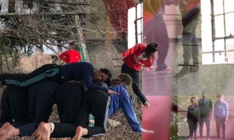 Photo: Shannon Murphy