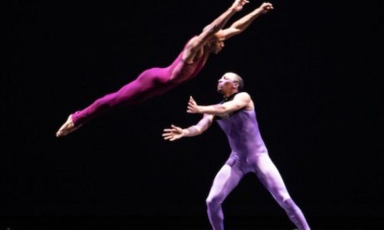 Photo: Scott Robbins